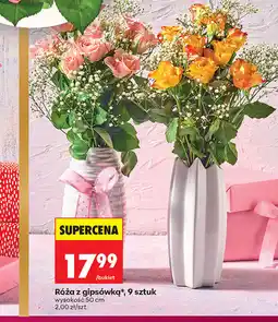 Biedronka Róża z gipsówką, 9 sztuk oferta