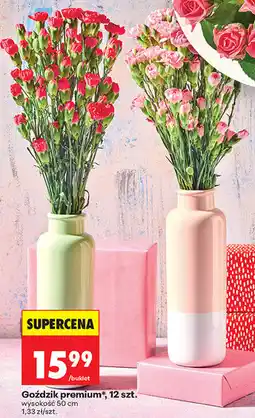 Biedronka Goździk premium, 12 szt oferta