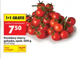 Biedronka Pomidory cherry gałązka opak oferta
