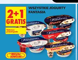 Biedronka Jogurty Fantasia oferta