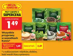 Biedronka Przyprawy w saszetkach Kamis oferta