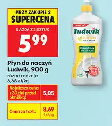 Biedronka Płyn do naczyń Ludwik oferta