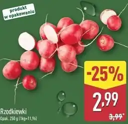 ALDI Rzodkiewki oferta