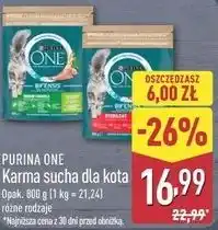 ALDI Karma sucha dla kota oferta