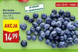 ALDI Borówka amerykańska oferta