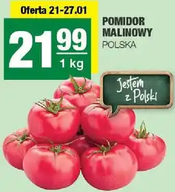 Spar Pomidor malinowy Polska oferta