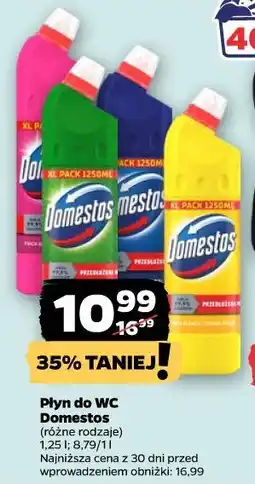 Netto Płyn do WC Domestos oferta