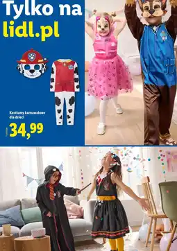 Lidl Kostiumy karnawałowe dla dzieci (Przebranie Psi Patrol, Harry Potter) oferta
