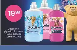 Sekret Urody Coccolino płyn do płukania oferta