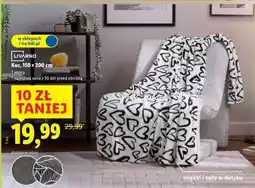 Lidl Livarno Koc oferta