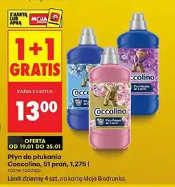 Biedronka COCCOLINO oferta