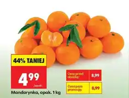 Biedronka Mandarynka opak 1 kg oferta