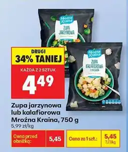 Biedronka Zupa jarzynowa lub kalafiorowa Mroźna Kraina , 750 g oferta