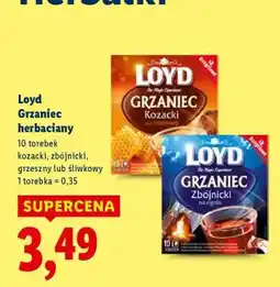 Lidl LOYD Grzaniec herbaciany oferta