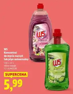 Lidl W5 Koncentrat do mycia naczyń lub płyn uniwersalny oferta