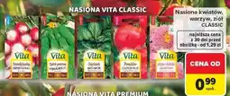 Carrefour Nasiona aster chiński Vita Line oferta