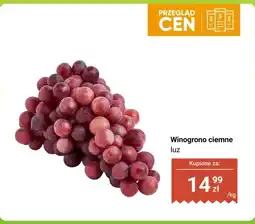 Dino Mix sałatkowy młodych listków Romantica oferta