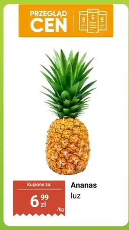 Dino Ananas luz oferta