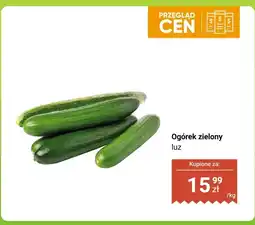 Dino Ogórek zielony luz oferta