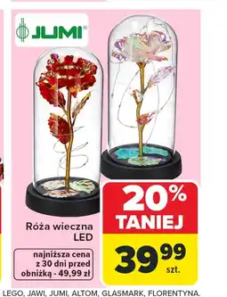 Carrefour Róża Jumi oferta