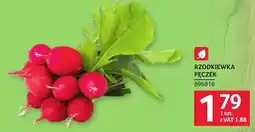 Selgros Rzodkiewka pęczek oferta