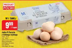 Polomarket Jajka M Marysia z wolnego wybiegu oferta