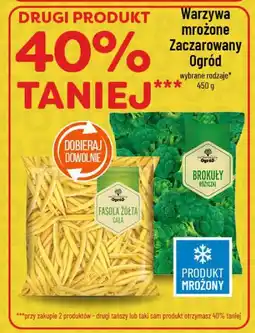 Polomarket Warzywa mrożone Zaczarowany Ogród (brokuły, fasolka żółta) oferta