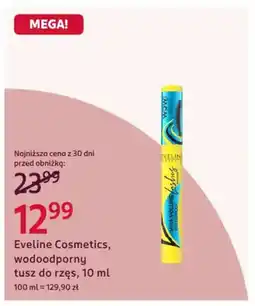 Rossmann Eveline cosmetics, wodoodporny tusz do rzęs oferta