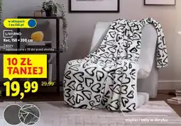 Lidl Koc Livarno oferta