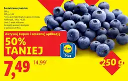Lidl Borówki amerykańskie Plus-Plus oferta