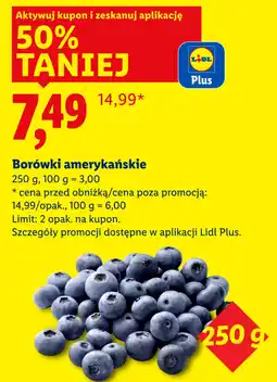 Lidl Borówki amerykańskie (250g) oferta