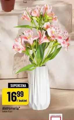 Polomarket Alstromeria (bukiet 6 szt.) oferta