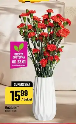 Polomarket Goździki (bukiet 7 szt.) oferta