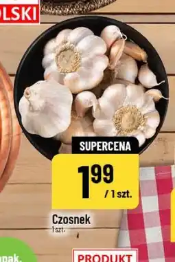 Polomarket Czosnek oferta