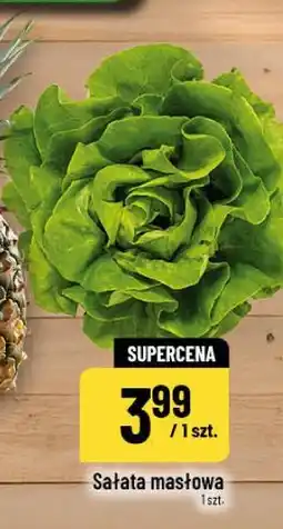 Polomarket Sałata masłowa oferta