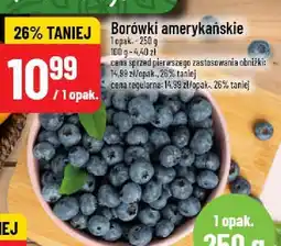 Polomarket Borówki amerykańskie 1 opak oferta
