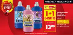 Biedronka Płyn do płukania Coccolino oferta