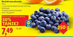 Lidl Borówki amerykańskie oferta
