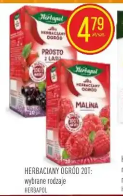 Pokusa Herbapol Herbaciany Ogród oferta