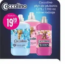 Jaśmin Coccolino płyn do płukania oferta