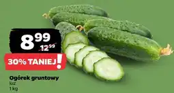 Netto Ogórek gruntowy luz oferta