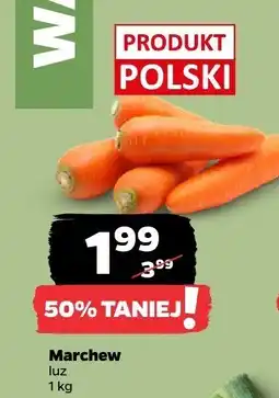 Netto Marchew luz oferta