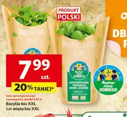Auchan Bazylia bio XXL lub mięta bio XXL oferta