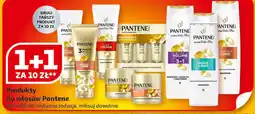 Auchan Produkty do włosów Pantene oferta