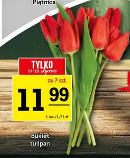 Gram Market Bukiet Piątnica oferta