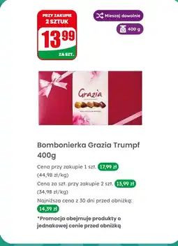 Dino Bombonierka oferta