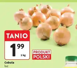 Intermarche Cebula luz oferta