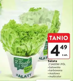 Intermarche Sałata Z SADÓW I PÓL multicolor oferta