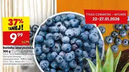 Twój Market Borówka amerykańska oferta