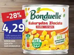 Hildebrandt Kukurydza złocista bonduelle oferta